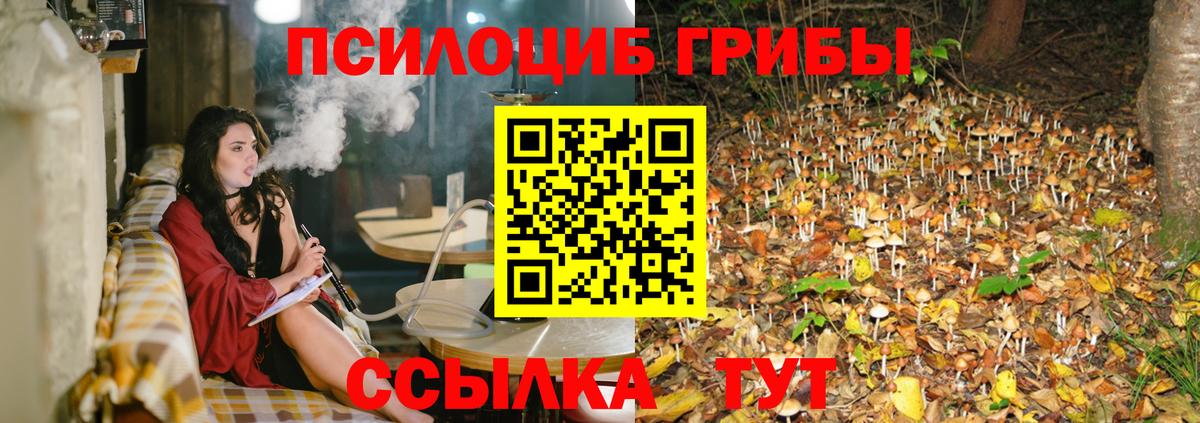 Галлюциногенные грибы Magic Shrooms  Вход с VPN  Галлюциногенные грибы прущие грибы  что такое   Бор 